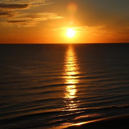 Apartamento Guardamar De La Safor Playa de Miramar Eksteriør billede